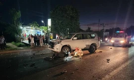 Vụ xe ô tô biển xanh va chạm xe máy ở Kon Tum: Sở NN&PTNT lên tiếng