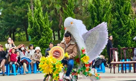 Mãn nhãn với 75 tác phẩm xe đạp hoa làm bằng đồ tái chế ở Đà Lạt 