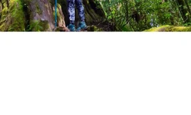 Điều tra vụ khai thác rừng trái phép ở Vườn Quốc gia Bidoup - Núi Bà