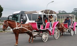 Chủ xe 'té ngửa', người dân tiếc nuối khi hoạt động xe ngựa chở khách ở Đà Lạt bị cấm 
