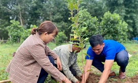 Kon Tum phủ xanh đồi núi trong chiến dịch Mùa hè xanh 2023 