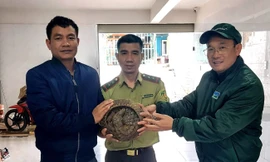 Đi thể dục vào sáng sớm, người dân phát hiện con vật quý hiếm bên lề đường