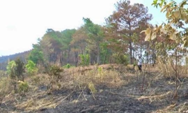 Cháy gần 9ha rừng ở Kon Tum, hàng trăm cán bộ, chiến sỹ tham gia dập lửa 