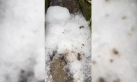 Mưa đá kéo dài hơn 30 phút ở Lâm Đồng