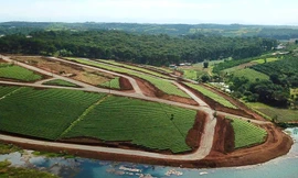 Để nghị gỡ bỏ việc tạm dừng giải quyết giao dịch 14 khu đất phân lô, tách thửa ở TP Bảo Lộc