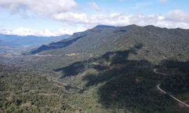 Nhiều sai phạm tài chính tại Khu bảo tồn thiên nhiên Ngọc Linh 