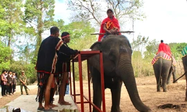 Linh thiêng lễ cúng cầu sức khỏe cho 'người bạn khổng lồ' ở Đắk Lắk