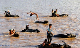 Trải nghiệm những ngày hè thú vị của trẻ em Tây Nguyên