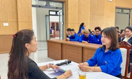 Hàng trăm thanh niên tình nguyện phục vụ Festival Hoa Đà Lạt 