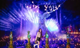 Lộ diện công viên hoa, ánh sáng nghệ thuật lớn nhất Việt Nam