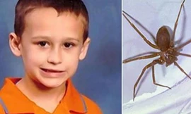 Cậu bé Carlisle đáng thương. Nguồn: Jessica Carlisle.