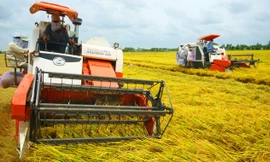 Nghịch lý tốn tỷ đô nhập máy nông nghiệp