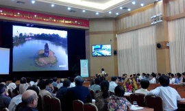 Bảo tồn hồ Gươm: Đừng quá tay!