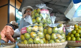 Hồng giòn Đà Lạt giá rẻ tràn xuống đường