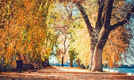 Mùa thu nước Nga tuyệt đẹp qua ống kính du học sinh Việt