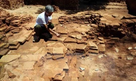 Ảnh minh họa. Nguồn: Lê Lâm/TTXVN.