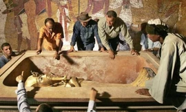 Ảnh minh họa. Nguồn: independent.co.uk.