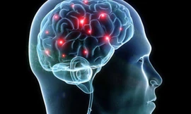 Não bộ là cơ quan phức tạp trong cơ thể người. Ảnh: CBS News.