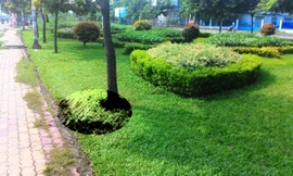 Nơi người dân phát hiện thi thể nạn nhân (vị trí được khoanh tròn trong ảnh) vào rạng sáng hôm nay.