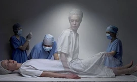 Ảnh minh họa: Drew Gardner.