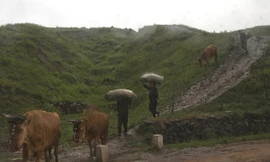 Cuộc sống thôn quê ở Triều Tiên qua góc nhìn của AP