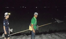 Luật bất thành văn ở ngôi làng đàn ông 'ngủ ngày, cày đêm'