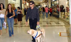 Ảnh minh họa. Nguồn: wikipedia.org.