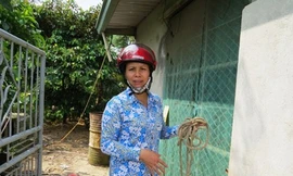 Vợ chồng ngủ quá say, trộm đột nhập dắt 5 con trâu?