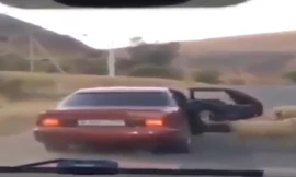 Đi ôtô 'sang chảnh' trộm cừu giữa đường