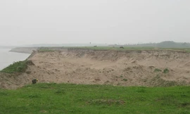 Bãi sông Hồng ở huyện Phúc Thọ tan hoang vì nạn cát tặc.