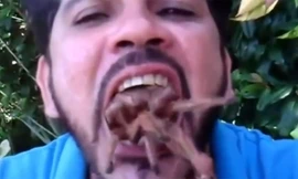 Người mê ngậm rắn và nhện độc