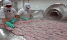 Việt Nam đứng đầu về xuất khẩu cá phile sang Brazil