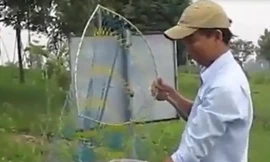 Câu được cá rô phi nặng...3kg