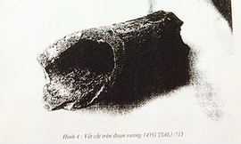 Phát lộ những dấu tích mới của thủy chiến Bạch Đằng