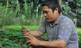 Chàng trai tật nguyền và vườn ươm trăm triệu