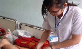 Hai người đầu tiên tỉnh Bình Định bị rắn lục đuôi đỏ cắn