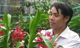 Anh Hùng bên vườn hoa nhà mình.