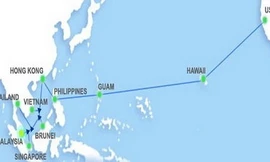 Cáp quang AAG gặp sự cố lần 3, internet đi quốc tế bị ảnh hưởng
