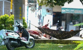 Người dân TPHCM mắc võng ở công viên tránh nóng