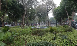 Khoác 'áo mới' cho Vườn hoa Diên Hồng 