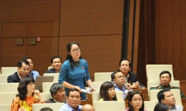 Thanh tra Thành phố kết luận nội dung tố cáo bà Dương Minh Ánh dùng bằng không đúng quy định là không có cơ sở.