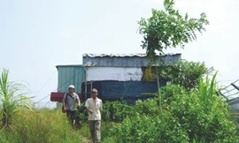 KCN Khánh An (U Minh) bỏ hoang vì không sử dụng hết diện tích Ảnh: Tiến Hưng