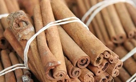 'Thiện trị giả, trị bì mao' - Đẳng cấp thầy thuốc giỏi