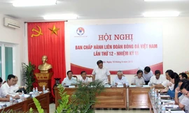 Đại hội VFF có thể hoãn tới tháng 10/2013