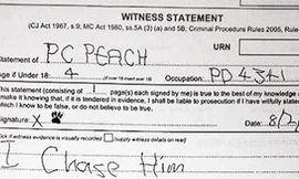 Cảnh sát gặp phiền vì trót lấy lời khai của…chó