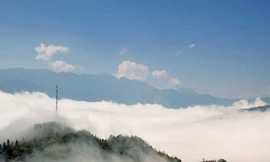 Mây luồn ở Sapa