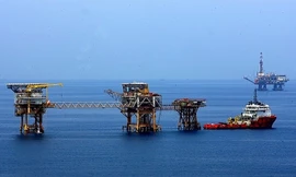 Các giàn khai thác dầu, khí tại mỏ Bạch Hổ