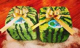 Dưa hấu vuông Nhật Bản có giá 4,5 triệu đồng/quả. Ảnh: Khúc Ngọc Anh