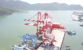 Cảng Quy Nhơn vận hành thử nghiệm hệ thống cẩu trục 200 tỷ đồng