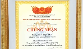 Bảo Thạch điểm sáng trong ngành vật tư Y tế 